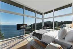 Cloudnine Canyon Maple - Image 4